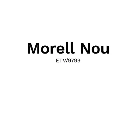 Morell Nou Holiday home *