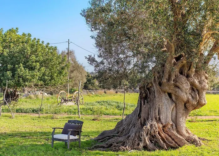 Morell Nou * Pollensa